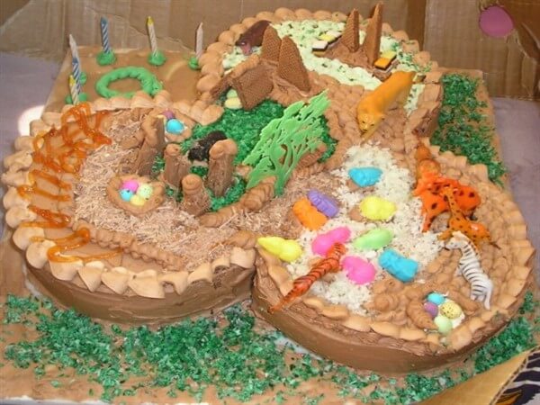 forest cake image